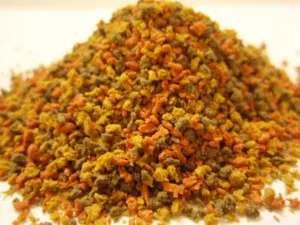 コメット 川魚の主食 3種混合飼料 80g