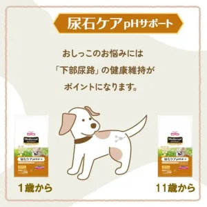 メディコートアドバンス 尿石ケア pHサポート 11歳から チキン味