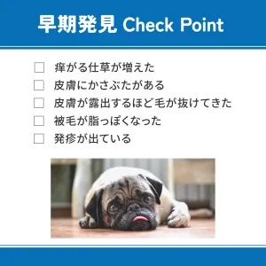 ベッツウェル 犬用食事療法食 皮膚ケア