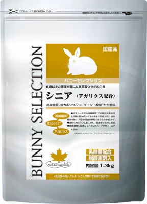 バニーセレクション シニア