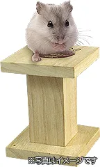 かじってちょー台