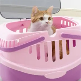 ピコキャットキャリー