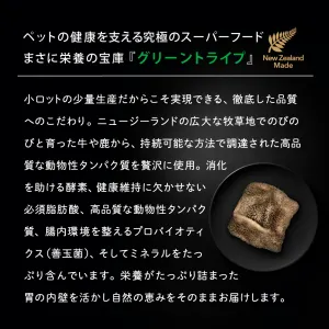 ニュートライプ ワイルドカット フリーズドライ ビーフwithグリーントライプ 15g