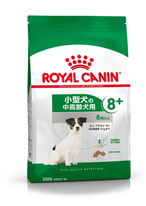 商品 ロイヤルカナン ミニ アダルト 8+ 画像