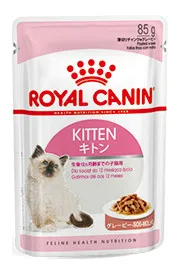 商品 ロイヤルカナン キトン 画像