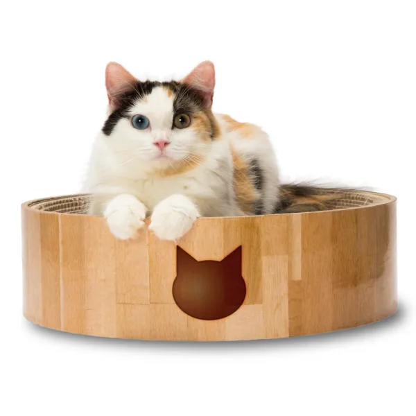 商品 猫壱 バリバリボウル 画像