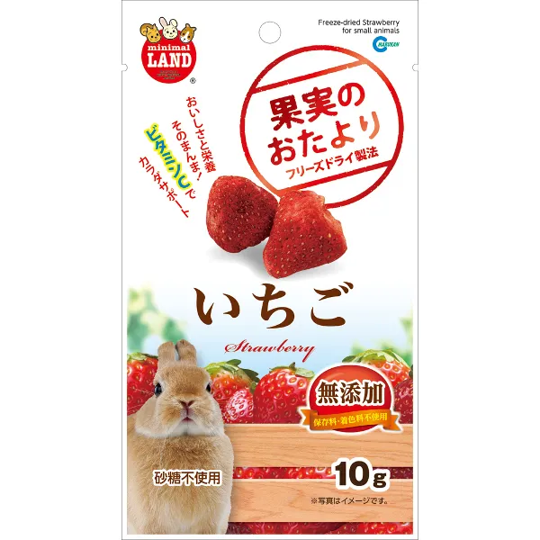 商品 マルカン 果実のおたより いちご 10g 画像