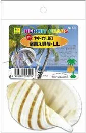 商品 SANKO オカヤドカリの宿替え貝がら 画像