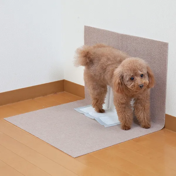 商品 サンコー おくだけ吸着 ペット用トイレ下敷きマット 60×90cm 画像