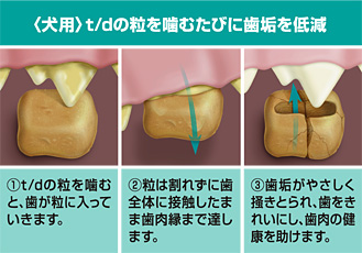 t/d説明2
