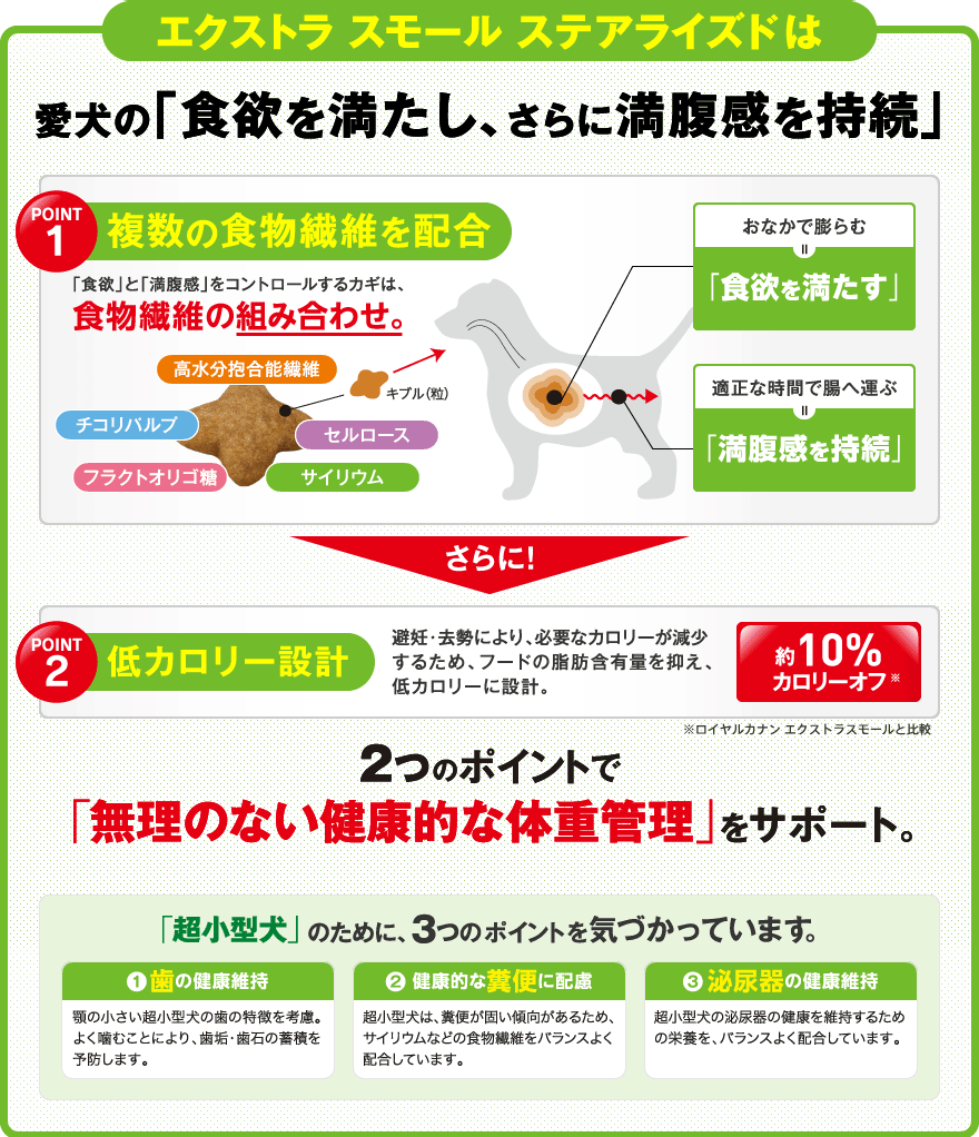 エクストラスモールステアライズド説明