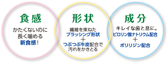 食後の歯みがきガム説明2