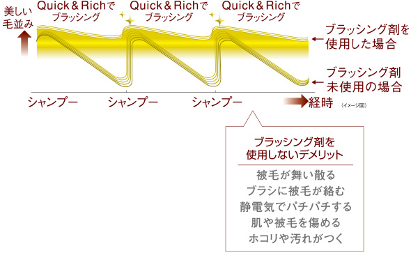 ライオン Quick&Rich ブラッシングトリートメント 説明3