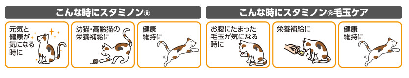 猫用チョイスプラス スタミノン説明2
