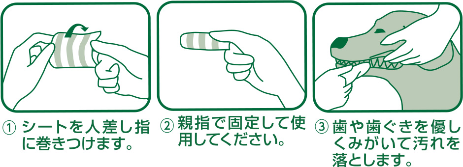 歯みがきシート説明1
