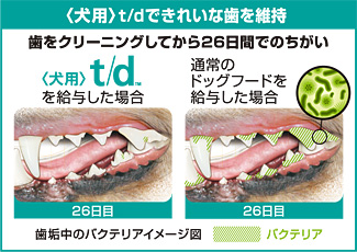 t/d説明1