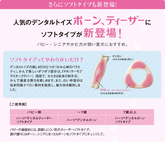 ソフトタイプ説明