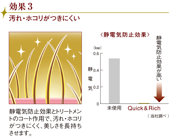 ライオン Quick&Rich ブラッシングトリートメント 説明2