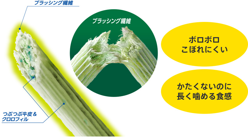 食後の歯みがきガム説明6