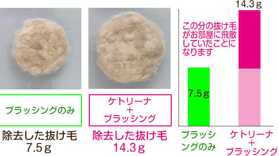 ペットキレイ ケトリーナ説明2