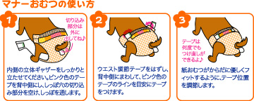 男の子&女の子のためのマナーおむつ 説明2