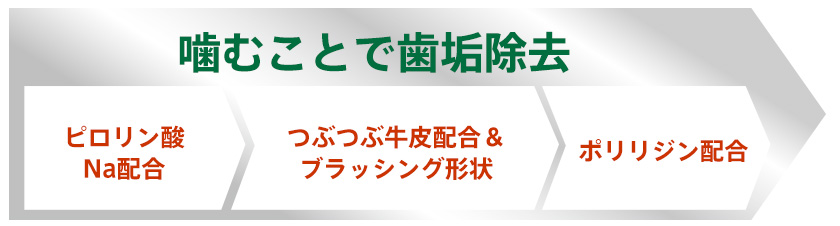 食後の歯みがきガム説明5