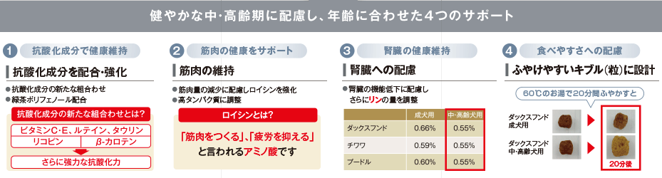 給与表