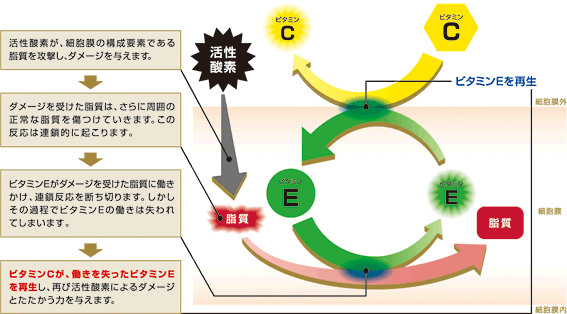 サイエンスダイエット・プロの製品特長